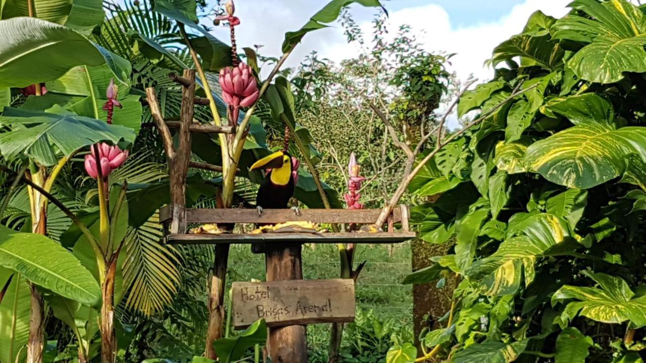 Hotel Brisas Arenal La Fortuna Exterior photo